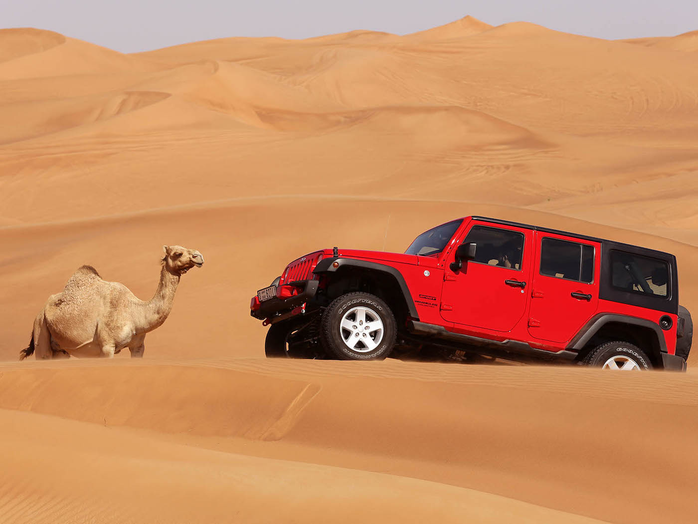 safari travel saudi arabia